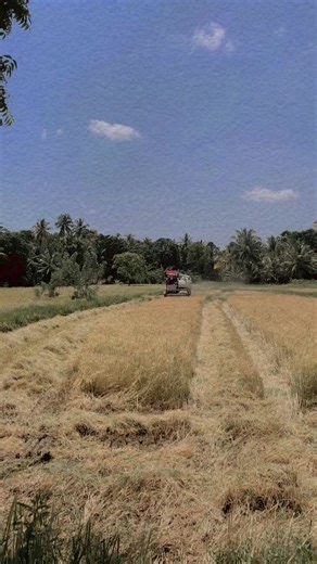 Exploring Kurunegala: A Hidden Gem in Sri Lanka
