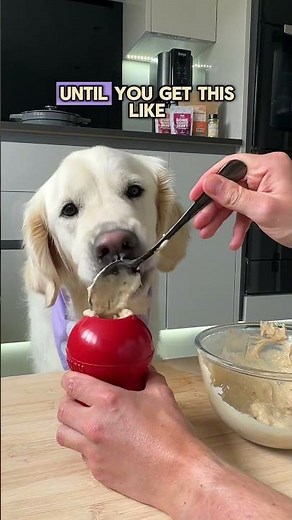 Here is an easy & tasty peanut butter frozen kong enrichment hack