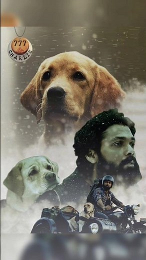 These 5 Heartwarming Movies You Must Watch