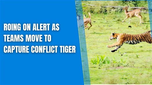 The Central Board of Secondary Education (CBSE) will introduce on-screen marking for the evaluation of Class 12 board examination answer sheets from this year. Under the new system, teachers will assess scanned answer scripts digitally on computers instead of checking physical copies. The initiative aims to eliminate totalling errors, speed up the evaluation process, and ensure greater transparency. According to CBSE, the digital evaluation system will also reduce the need for post-result verifi