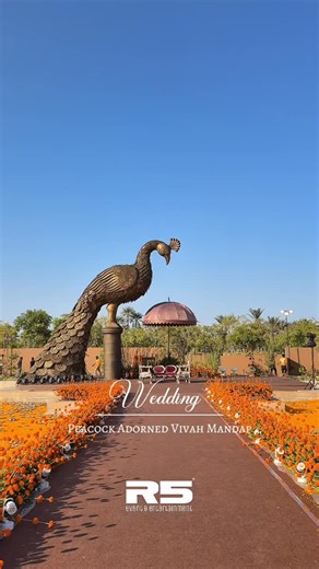 𝐑𝟓 𝐄𝐯𝐞𝐧𝐭 & 𝐄𝐧𝐭𝐞𝐫𝐭𝐚𝐢𝐧𝐦𝐞𝐧𝐭 | “A 30-ft peacock, bold, breathtaking, and impossible to ignore—pure magic at this sundowner wedding.” . . . . [ Wedding, Peacock, Peacock... | Instagram