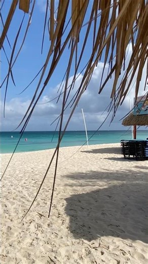 Aruba parte 1, visa, vacuna y recomendaciones. #aruba #arubaonehappyisland #eaglebeach