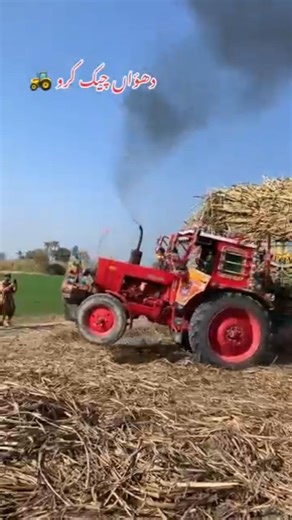 gana loading supply tractor 🚜 #pkdrivers #farming #foryou #lifeisbutadream #foryou #pleasesubscribe