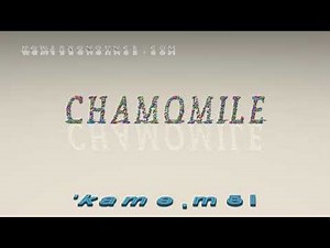 chamomile - pronunciation in British English (three voices / accents)