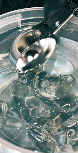 Aleyah and Aleysha on TikTok