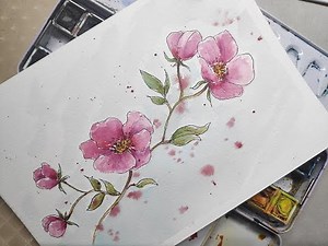 Easy Pink flowers in Watercolor and ink!
