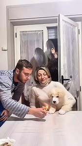 2.1M views · 13K reactions | Lol藍藍藍 #scarecam #prank #lol #scare #funnyvideos #sacreprank #troll #funny #funnymoments #funnyprank | Scare Pranks USA | Facebook