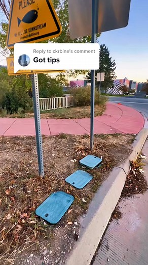 242K views · 1.1K reactions | Replying to @ckrbine Would you be able to find this underground cache, or would you let this yellow jacket get the best of you? #Geocache #Geocaching #GeocachingTips #TipsForBeginners #GeocachingForBeginners #StartGeocaching #GetOutside #Cache #Caches #CacheMeIfYouCan #Hullsome #Utah #SaltLakeCity #UtahValley #UOfU #TreasureHunt #CacheMeOutside | Linda Hawkyard | Facebook