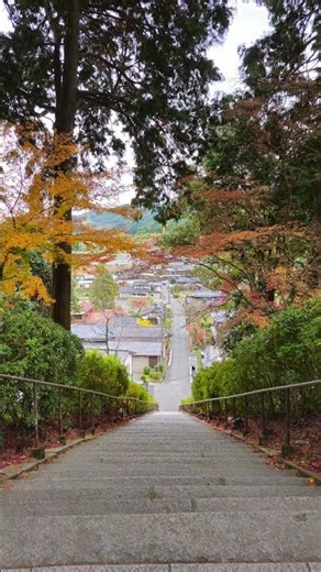 Daikozenji Temple in late autumn #fukuoka #autumn #temple #daikozenji