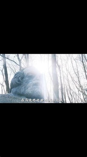 什么是马克思主义者？ 伟大的马克思主义万岁！无产阶级万岁！#无产阶级 #马克思 #马克思主义 #热门 @DOU 小助手 #短视频变现