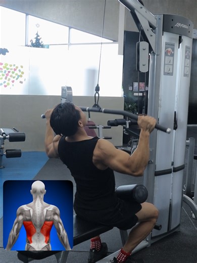 Back and Biceps Workout