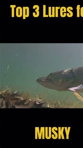 Top 3 lures for musky ￼