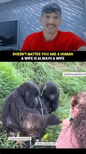 गप्पलेबाजी On Top 🤣🤣😁 (part - 97)#funny #laugh #trynottolaugh