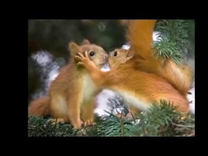 Nat King Cole - L-O-V-E - HD