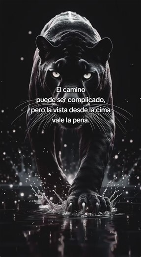 Motivación: La Vista desde la Cima Vale la Pena