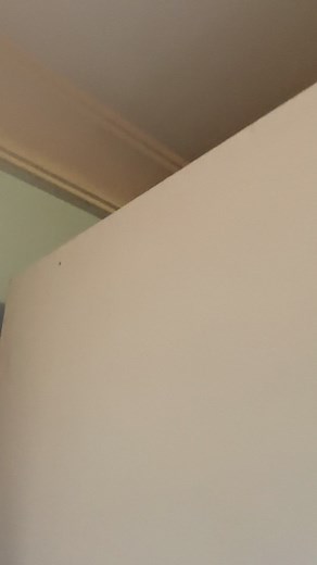 528K views · 39K reactions | ซ่อนอีกแล้ว | Tippawan Laongjan | Facebook