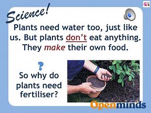 Presentazione CLIL inglese #5 - Plants