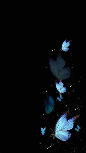 𝐻𝑎𝑤𝑟𝑎𝑎 𝐴𝑏𝑏𝑎𝑠 𐙚 on Instagram‎: "زٍيَآرةّ فُآطِمًةّ آلَزٍهّرآء عٌلَيَهّآ آلَسِلَآمً"‎