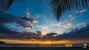 ハコ ビーチ  (Jaco beach)