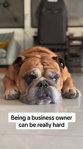 70 reactions · 36 shares | We helped 25 million people take an idea and turn it into a business  Join them?  Your new logo is waiting for you | Tailor Brands | Facebook