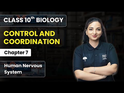 Control and Coordination - Human Nervous System | Class 10th Biology Chapter 7
