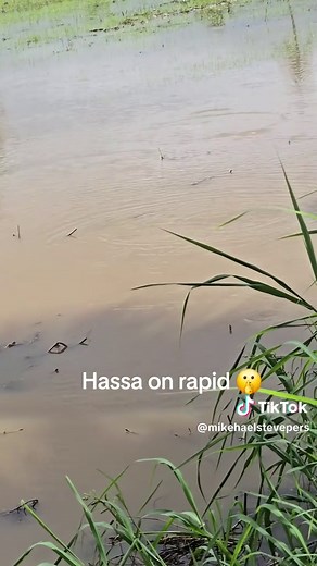 #fyp #justforfun #guyanesetiktok🇬🇾 #fishing @Sushilla Gobin