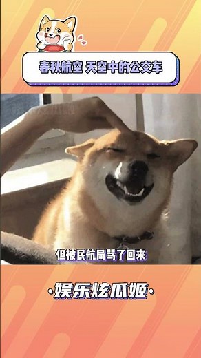 Spring Airlines' Sky Bus: The Real-Life Adventure