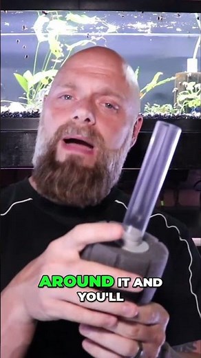 Sponge Filters Advantages & How They Work Aquarium
