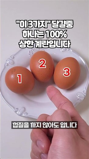 There's a trick to tell if an egg is spoiled in just one second, without even breaking it open. I...