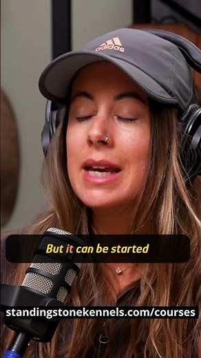 Puppy Training: Step-by-Step Guidance