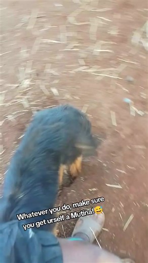 True Love....don't trust these b#$ches😂