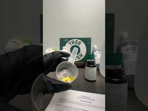 Hydrating a single dose of OTC Tree Injection Formula #lethalbronzing #treecare