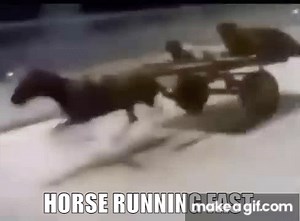 Horse running fast meme on Make a GIF