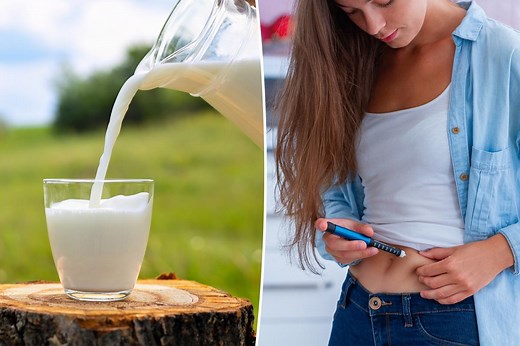 Diabetes breakthrough: Cow produces human insulin in world first