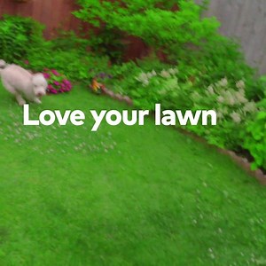 5.1K reactions · 341 shares | Cabin fever? Us too. Clean up your yard and get a breath of fresh air. | Thumbtack | Facebook