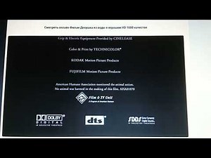 Warner Bros Pictures Distribution (2006)