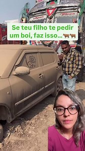 12K views · 28 reactions |  Seu filho quer um boi? Faça um com suas...