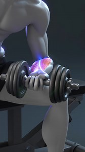 Bras Massifs : Routine Avant-Bras Ultime (Seulement Haltères) 🔥 #musculatíon #avantbras #exercicesavantbras | Light weight sport