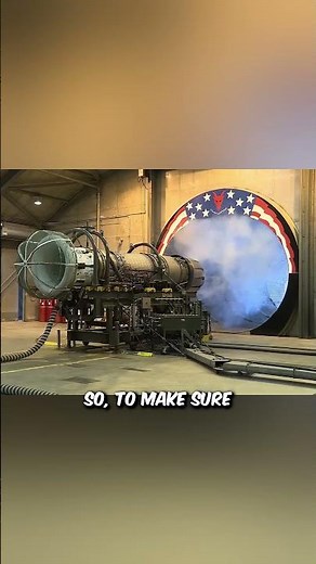 Why Chickens were Thrown into Airplane Engines.