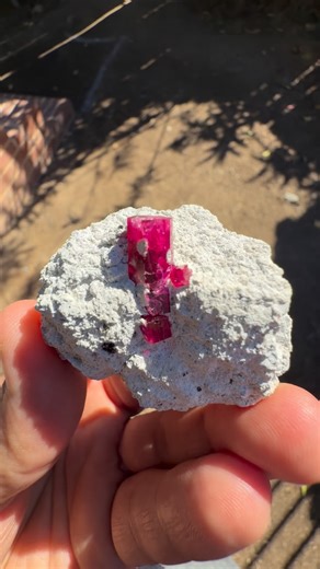 Ghulam Mustafa on Instagram: "❇️Mineral: Red Beryl (Bixbite) — Ruby Violet Claims, Utah, USA. ❇️Cabinet Small Size: (LWD) 5 x 3 x 3.5 cm Xl: 2 x 0.5 x 0.4 cm Weight: 62 grams ❇️Locality: Ruby Violet Claims, Utah, USA 🇺🇸. ❇️Description: A truly special crystal from one of the most legendary localities in the world. This Red Beryl from the Ruby Violet Claims, Wah Wah Mountains, Beaver County, Utah carries the kind of presence that only extreme rarity can create. The color is deep, rich, and vibr