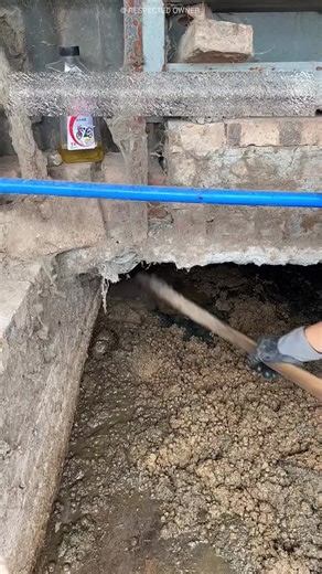 Rescue Mission: Baby Rabbit Stuck in Mud