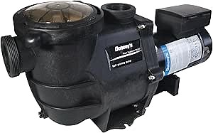 Doheny's Pool Pro 2-Speed In-Ground Swimming Pool Pump (1 HP)