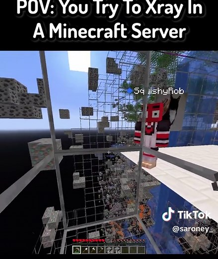 POV: You Xray In A Minecraft Server In Minecraft ( FT: @SquishyRob ) #Minecraft #mc #mcyt #funnymoments #minecraftmemes