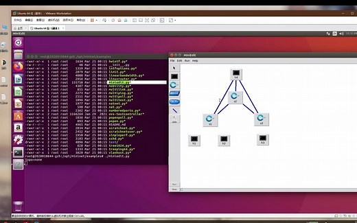 SDN交换机-mininet基本配置和图形化基本拓扑