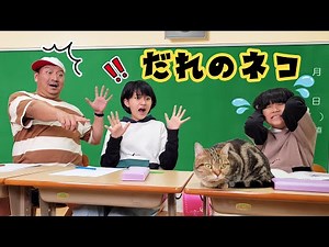 先生にバレたら大変！！学校にネコ連れてきちゃった＞＜himawari-CH