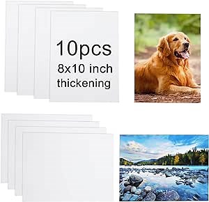 Amazon.com: GEKIXUTP 10 Pcs Sublimation Metal Photo Blanks 8"X10" X0.45mm Aluminum Photo Sign Blank Photo Metal Wall sublimation Poster Frame Blanks (White) : Office Products