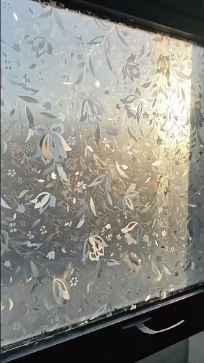 Window Vinyl Film – Waterproof Self Adhesive Window & Glass Sticker Decor