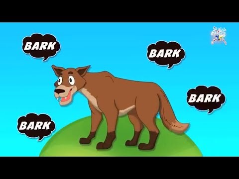 🐺🎶 Coyote Goes Bark Bark Bark!! SpartaPitch | Cocomelon | Effects After Edits