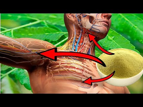 10 Incredible NEEM LEAF POWDER Health Benefits (SKIN, HAIR & FACE)