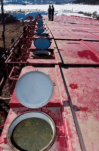 Fracking is safe, scientists say